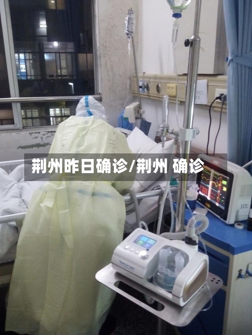 荆州昨日确诊/荆州 确诊