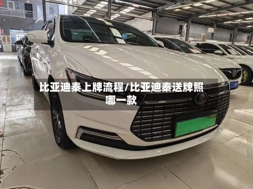 比亚迪秦上牌流程/比亚迪秦送牌照哪一款