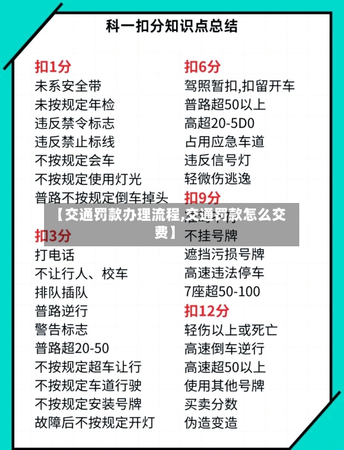 【交通罚款办理流程,交通罚款怎么交费】-第2张图片