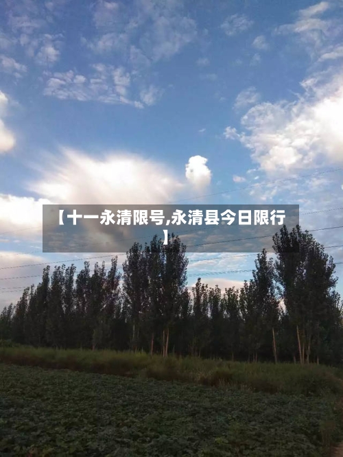 【十一永清限号,永清县今日限行】-第2张图片