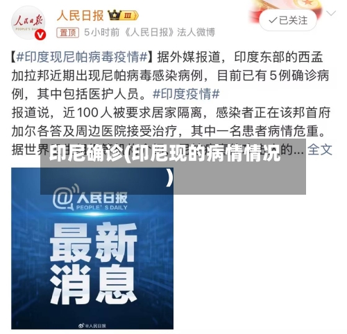 印尼确诊(印尼现的病情情况)-第2张图片