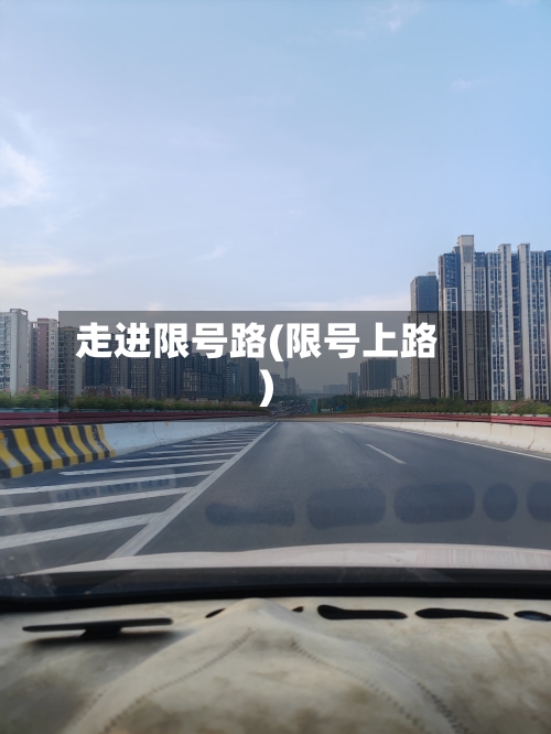 走进限号路(限号上路)-第2张图片