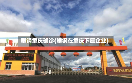 攀钢重庆确诊(攀钢在重庆下属企业)-第2张图片