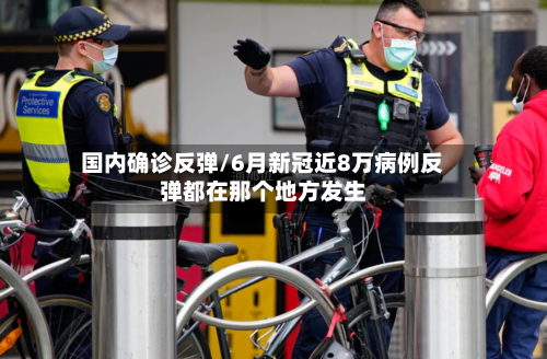 国内确诊反弹/6月新冠近8万病例反弹都在那个地方发生