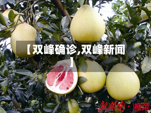 【双峰确诊,双峰新闻】