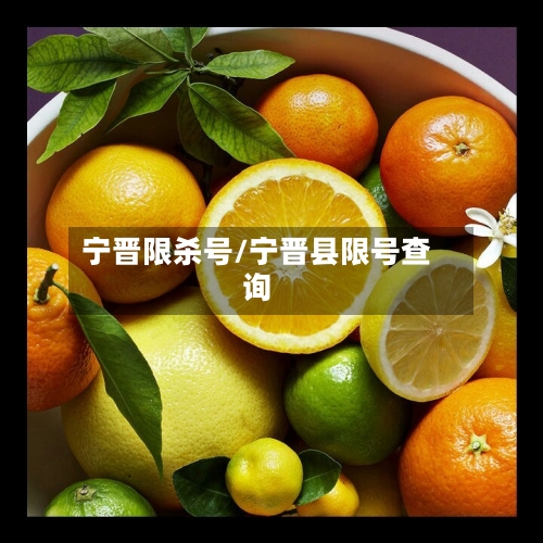 宁晋限杀号/宁晋县限号查询