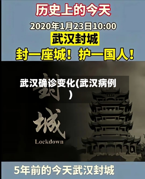 武汉确诊变化(武汉病例)