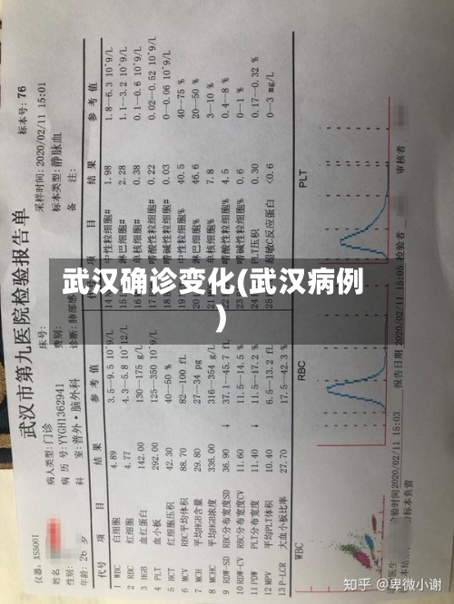 武汉确诊变化(武汉病例)-第2张图片