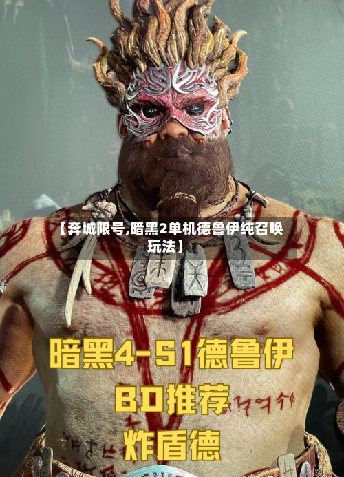 【奔城限号,暗黑2单机德鲁伊纯召唤玩法】-第3张图片