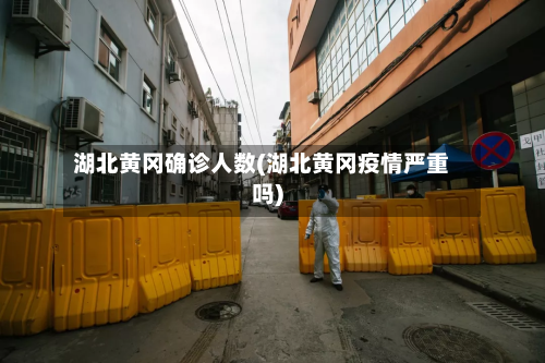 湖北黄冈确诊人数(湖北黄冈疫情严重吗)