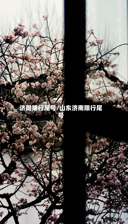 济阳限行尾号/山东济南限行尾号-第2张图片