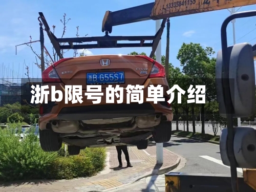 浙b限号的简单介绍-第2张图片