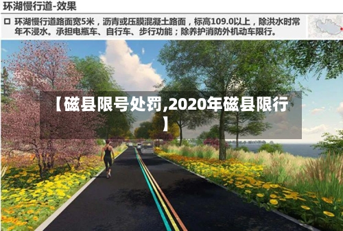 【磁县限号处罚,2020年磁县限行】