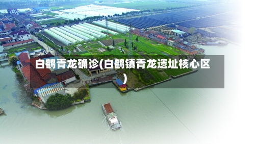 白鹤青龙确诊(白鹤镇青龙遗址核心区)-第3张图片