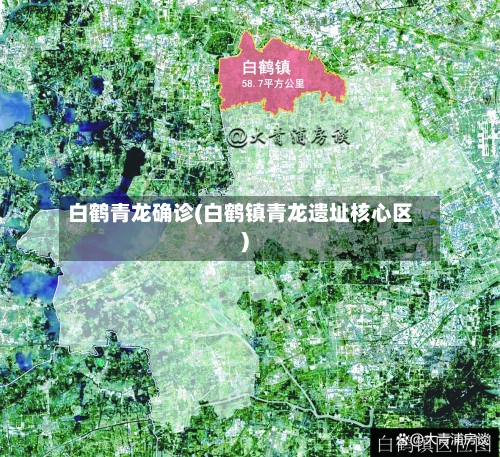 白鹤青龙确诊(白鹤镇青龙遗址核心区)