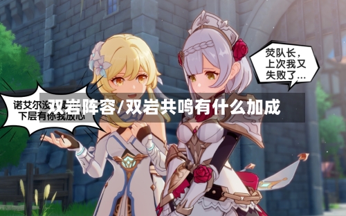 双岩阵容/双岩共鸣有什么加成-第2张图片