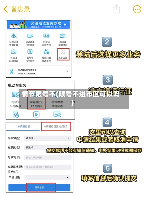 情节限号不(限号不进市区可以吗)