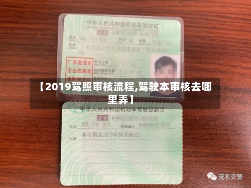 【2019驾照审核流程,驾驶本审核去哪里弄】-第2张图片