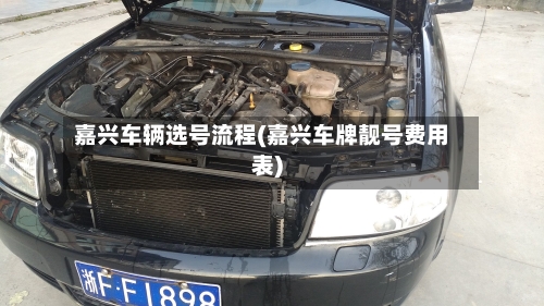 嘉兴车辆选号流程(嘉兴车牌靓号费用表)
