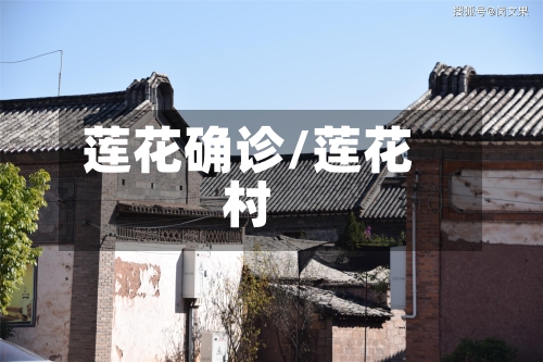 莲花确诊/莲花村-第3张图片