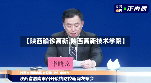 【陕西确诊高新,陕西高新技术学院】-第2张图片