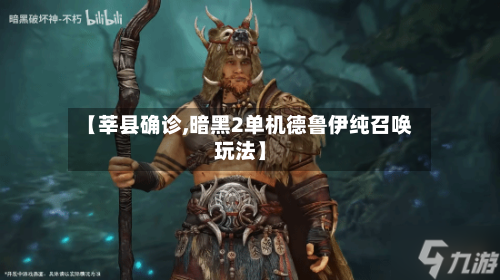 【莘县确诊,暗黑2单机德鲁伊纯召唤玩法】-第2张图片