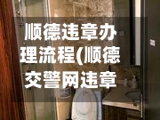 顺德违章办理流程(顺德交警网违章查询)-第2张图片
