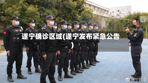 遂宁确诊区域(遂宁发布紧急公告)-第3张图片