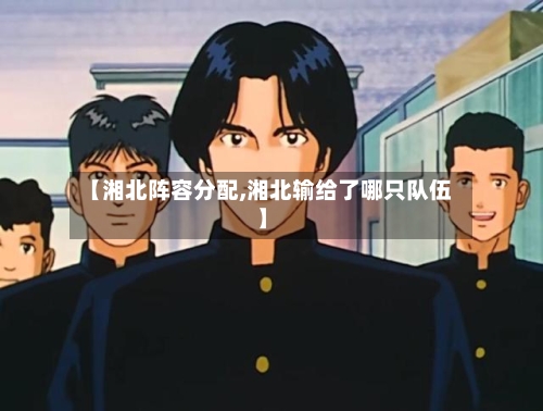 【湘北阵容分配,湘北输给了哪只队伍】-第2张图片