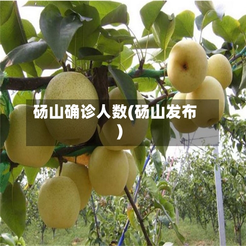 砀山确诊人数(砀山发布)-第2张图片