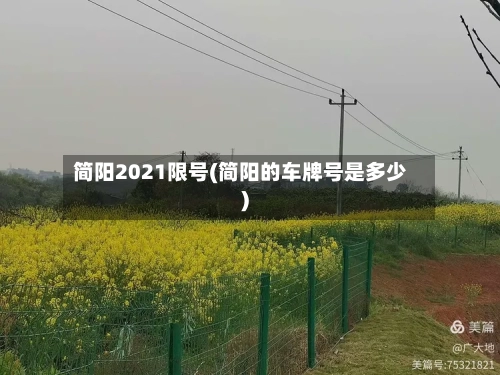 简阳2021限号(简阳的车牌号是多少)-第2张图片