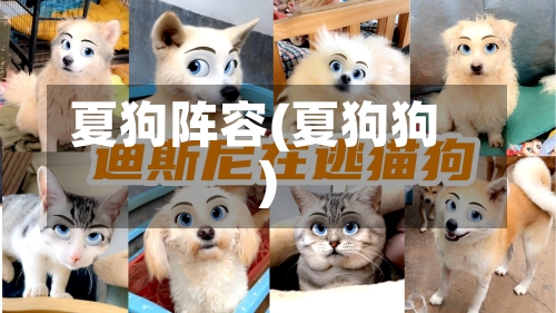 夏狗阵容(夏狗狗)