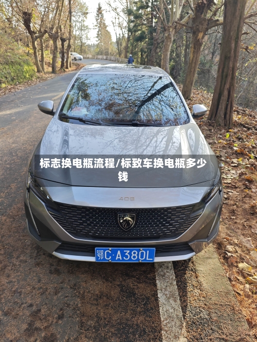 标志换电瓶流程/标致车换电瓶多少钱-第3张图片