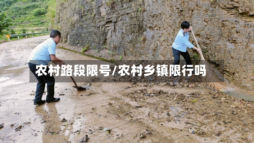 农村路段限号/农村乡镇限行吗