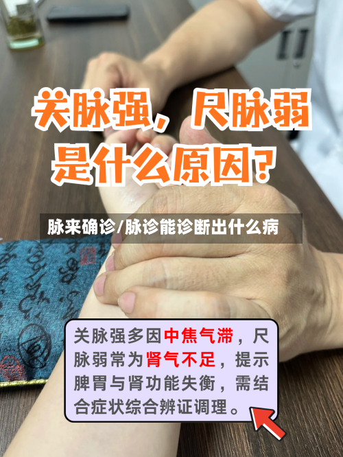 脉来确诊/脉诊能诊断出什么病