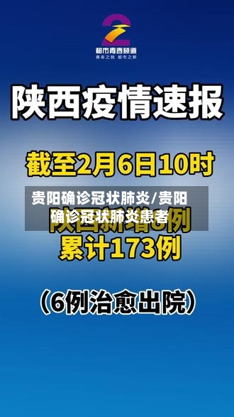 贵阳确诊冠状肺炎/贵阳确诊冠状肺炎患者-第2张图片