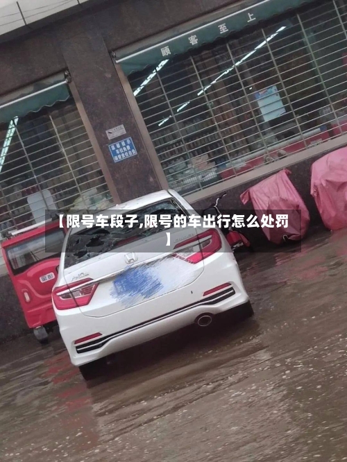【限号车段子,限号的车出行怎么处罚】-第2张图片