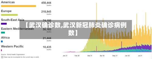 【武汉确诊数,武汉新冠肺炎确诊病例数】-第2张图片