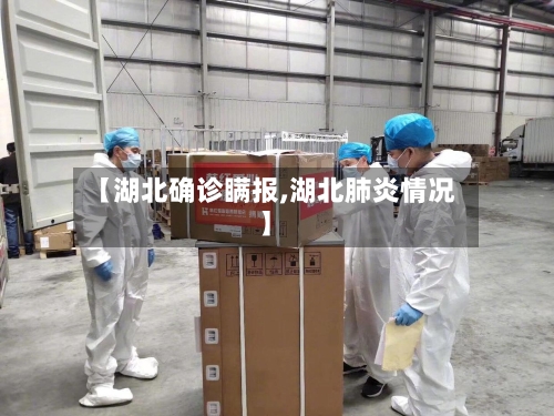【湖北确诊瞒报,湖北肺炎情况】-第3张图片