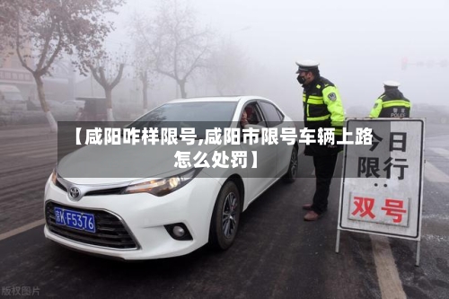 【咸阳咋样限号,咸阳市限号车辆上路怎么处罚】