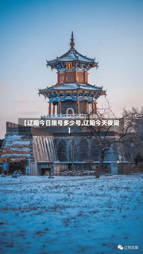 【辽阳今日限号多少号,辽阳今天夜间】-第3张图片