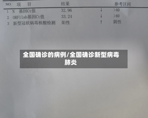 全国确诊的病例/全国确诊新型病毒肺炎-第2张图片