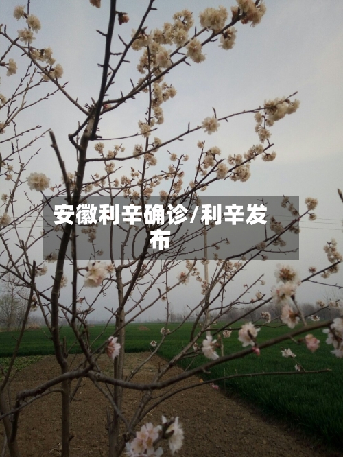 安徽利辛确诊/利辛发布