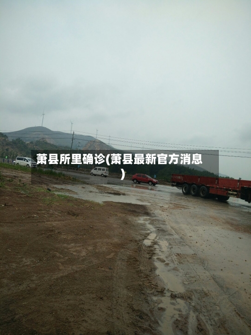 萧县所里确诊(萧县最新官方消息)-第2张图片