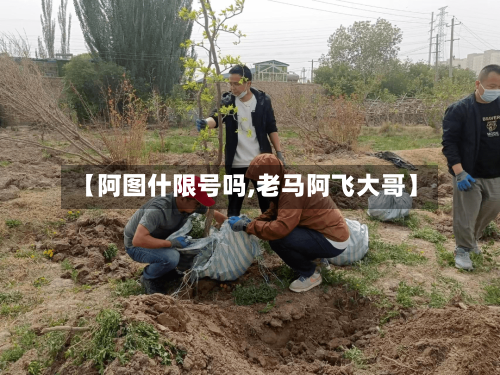 【阿图什限号吗,老马阿飞大哥】-第3张图片