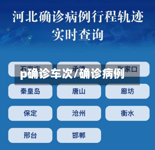 p确诊车次/确诊病例-第2张图片