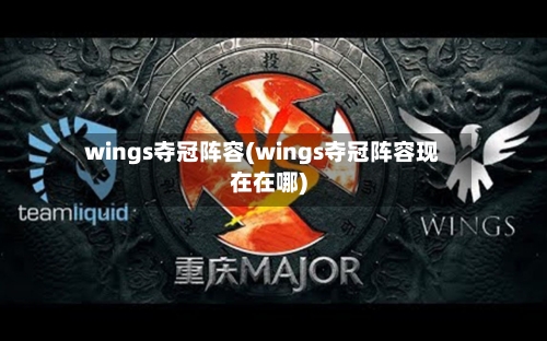 wings夺冠阵容(wings夺冠阵容现在在哪)-第2张图片