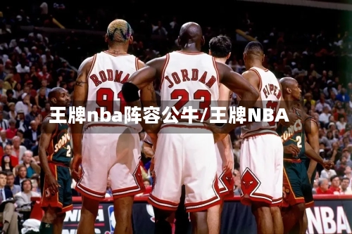 王牌nba阵容公牛/王牌NBA