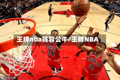 王牌nba阵容公牛/王牌NBA-第2张图片