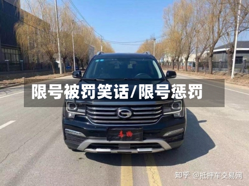 限号被罚笑话/限号惩罚